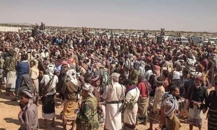 أبين : نفير قبلي للزحف على معقل الإنتقالي .. صور + تفاصيل