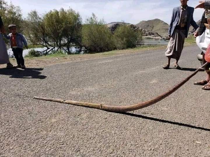 صور .. الحذر من السباحه في السدود .. والسبب وفاة بطريقة مخيفة