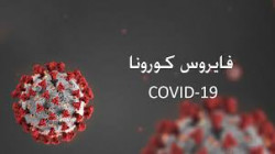 الفلكي والخبير الدولي 