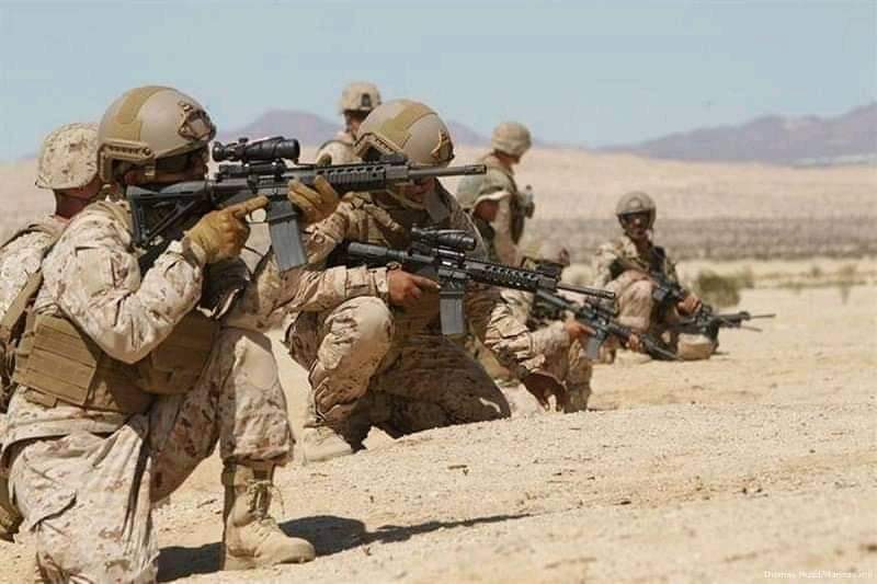وكالات : مصادر تكشف عن صول 20 ضابطاً الى المخا قادمين من ابوظبي وتتحدث عن المهمة التي سينفذوها في الساحل ..