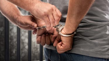 الأجهزة الأمنية تلقي القبض على فنان 