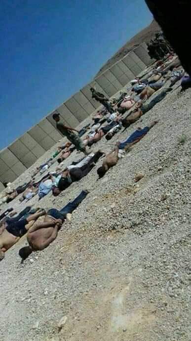 شاهد بالصوره سجن للاحتلال الاماراتي  يجمع الكثير من الجنوبيين وهم بحالة سيئه