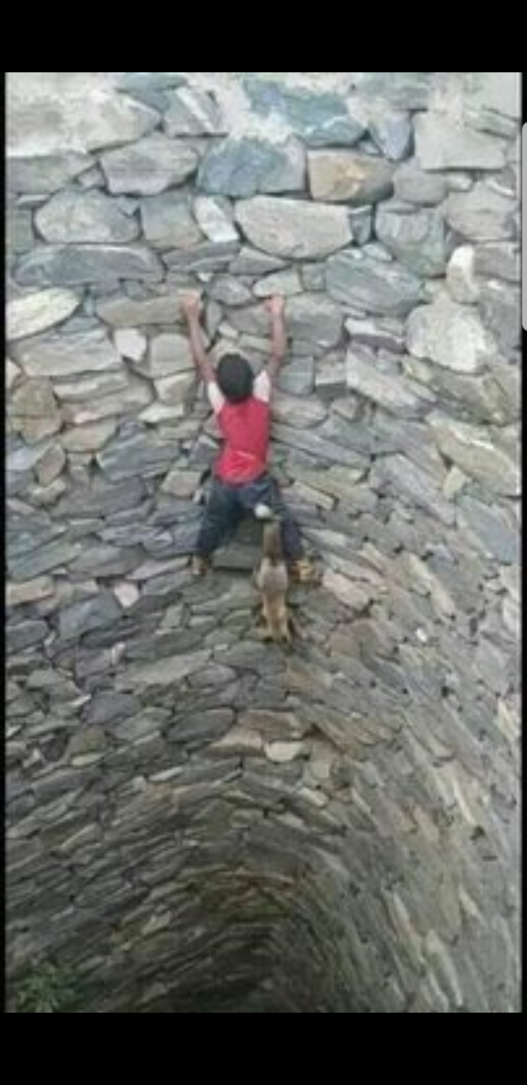نائب وزير الخارجية بصنعاء: طفل يمني ينقذ ثعلباً كان قد سقط في بئر عميقة فاحتزم وشده إلى محزمه ثم عاد به متسلقا طي البئر.. صور