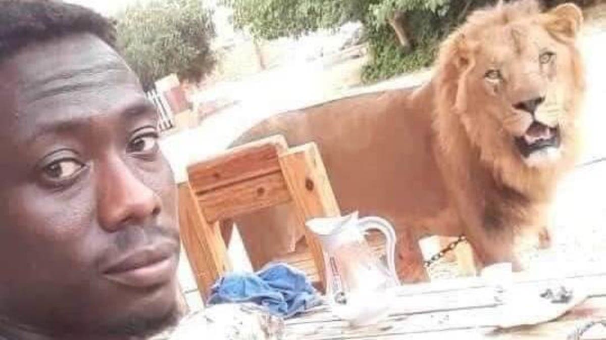 شاهد بالصورة .. حادثة مرعبة أسود تفترس عاملا