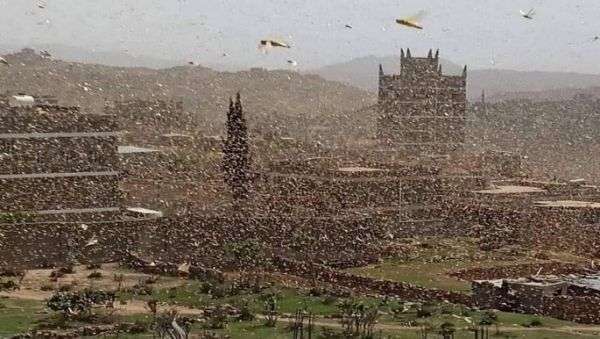شاهد بالصورة .. جيش جرار يجتاح العاصمة صنعاء من الجهة الشرقيه والمواطنين يناشدون حكومة صنعاء بمواجهة ذلك الاجتياح وتأمين ممتلكاتهم