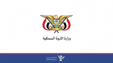 حكومة صنعاء تصدر بيان ناري تحذر فيه  السفن التجارية الأجنبية بالخروج فورا  .. تفاصيل