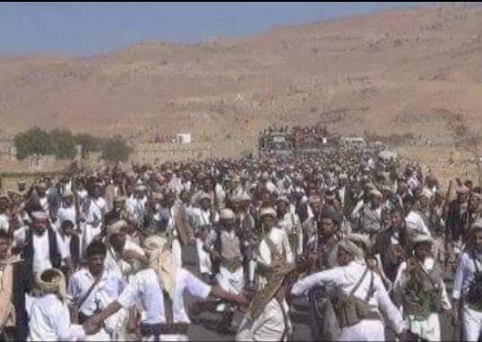 قائد عسكري في قوات هادي كنا نعتقد أن قبائل قبيلة مراد رجالا