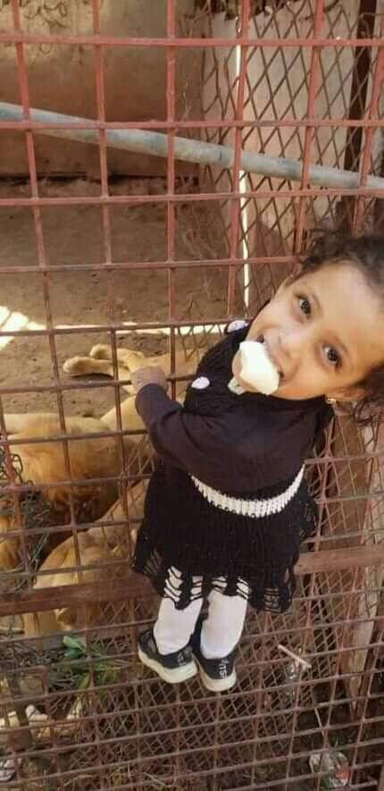 لأصحاب القلوب .. شاهد حيوان مفترس يلتهم ذراع طفله في حديقة الحيوان بأب