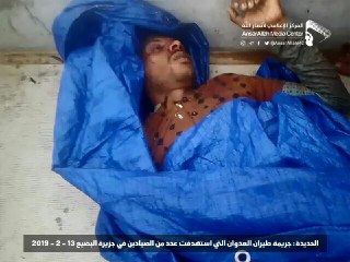 بالصور.. طيران العدوان يرتكب مجزرة مروعة بحق صيادين بجزيرة الرضيع بالحديدة