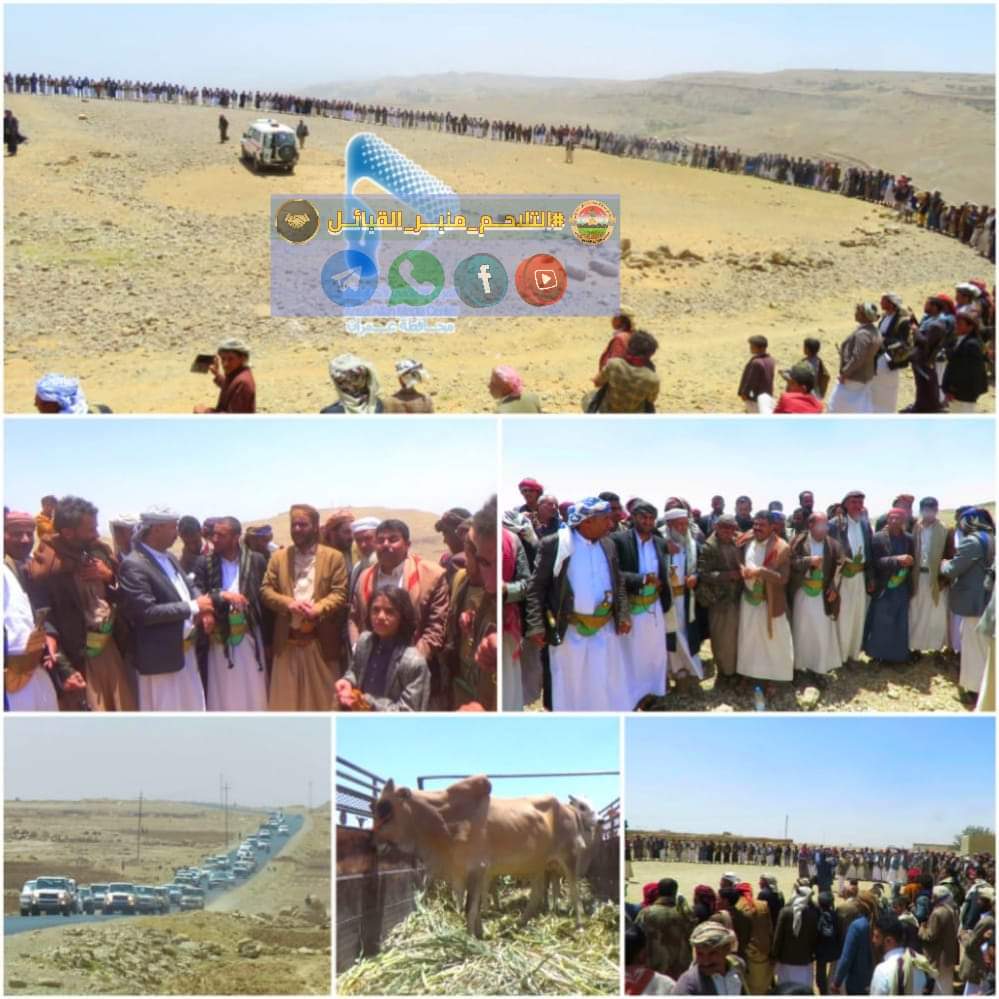 إنهاء قضية قتلٍ بين آل القصاري بمديرية الجبل عمران