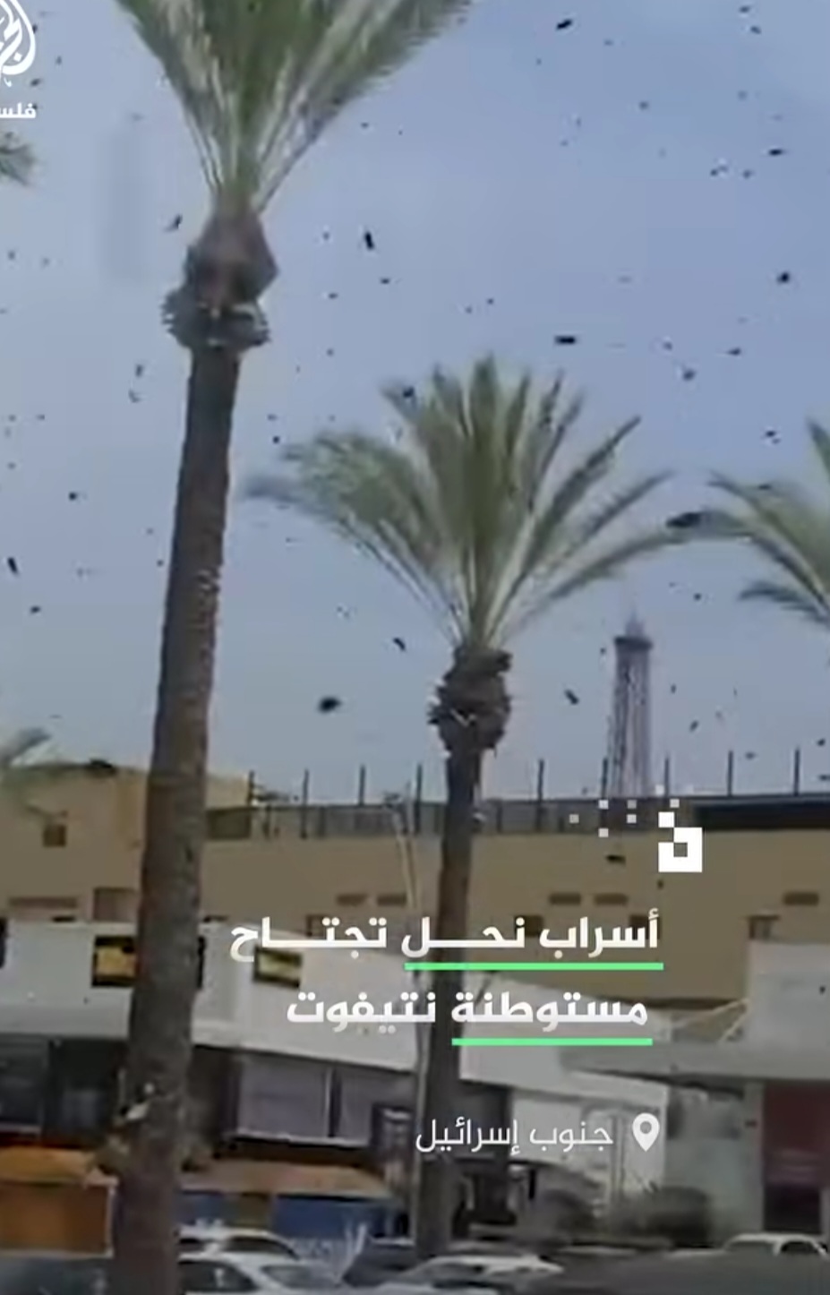 استنفار في إسرائيل عقب أجتياح ضخم دخل المستوطنات .. تفاصيل وصور