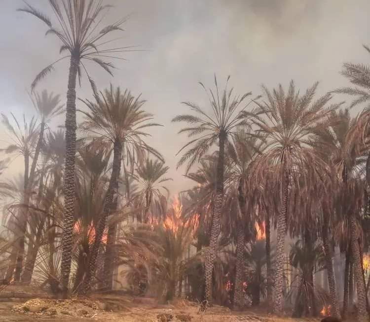 حضرموت تحرق لليوم الثاني على التوالي والأهالي يناشدون السلطات التدخل ... صور
