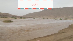 هام : قوات الجيش و اللجان الشعبية  تبدأ عملياتها العسكرية في الجزء الغربي من مدينة مأرب (تفاصيل كامله )