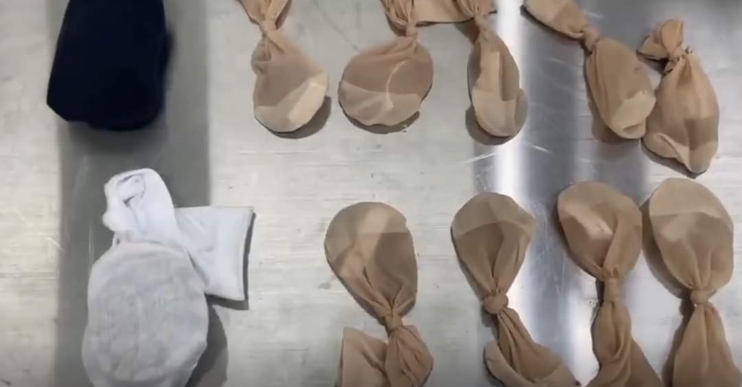 واقعة غريبة .. رجل يحاول تهريب 14 ثعبانا حياً داخل جيوبه من المطار!
