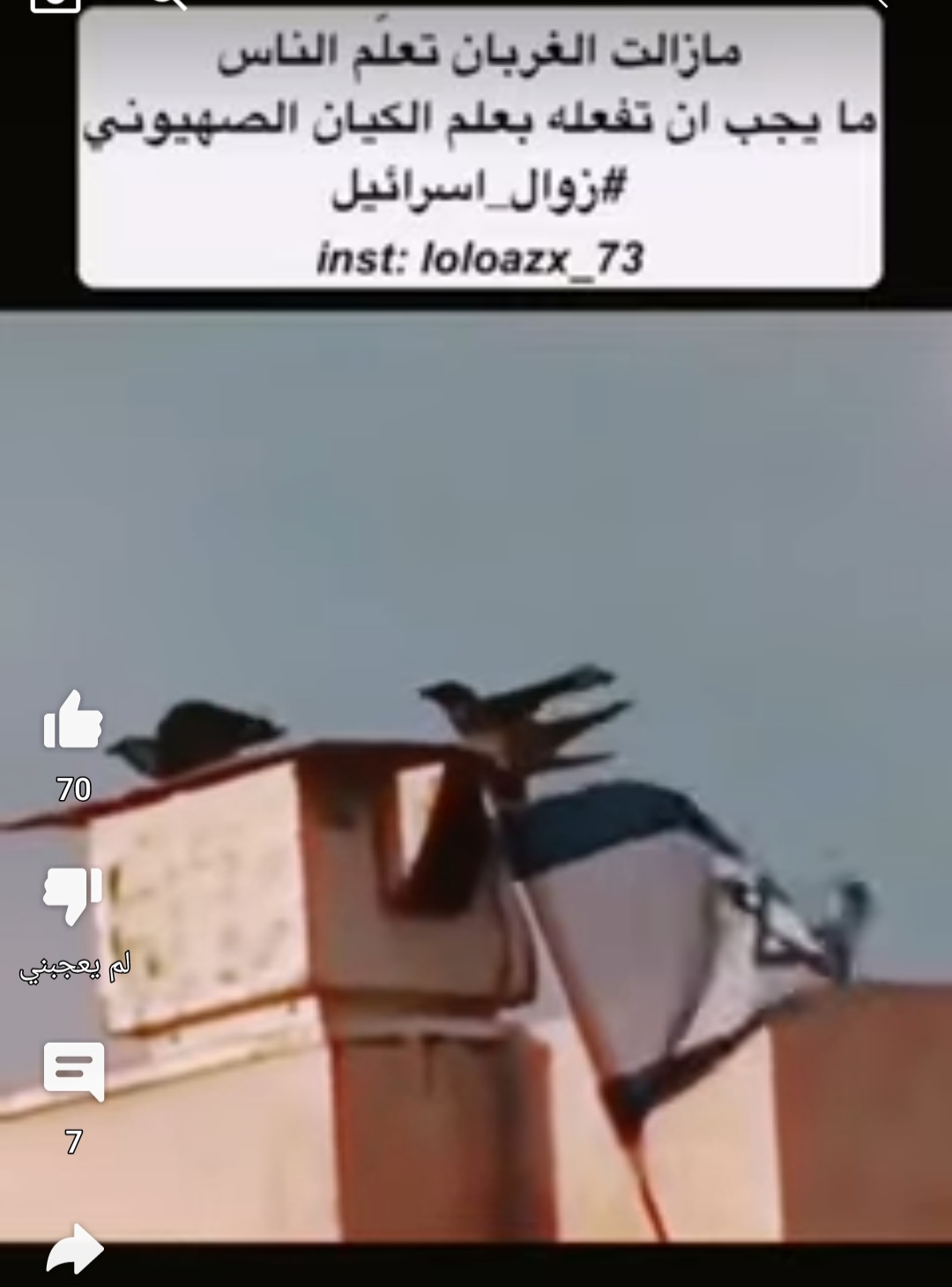 في مشهد فيديو تقشعر له الأبدان الغراب علم هابيل كيف يواري سوءته ويدفن اخاه قابيل وهاهي الحادثة تتكرر غراب يرسل رساله لكل المهرولين للتطبيع مع الكيان الصهيوني