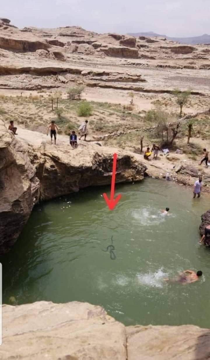 شاهد بالصور .. سيول الامطار تجرف الأفاعي الكبرى والسامه الى هذه المناطق .. ومصادر محليه تؤكد وفاة طفل ؟
