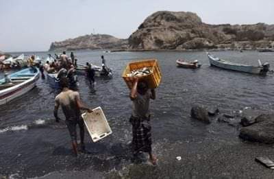 حكومة صنعاء تتهم فصائل التحالف باختطاف ستة صيادين في سواحل حجة