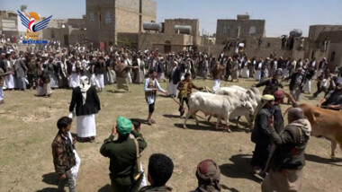 وساطة قبلية تنجح في إنهاء قضية قتل بين آل نجاد وآل الرجوي من قبائل مسور في محافظة عمران