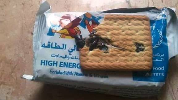 بالصورة .. منظمات دولية تقدم بسگويت لطلاب المدارس محشو بالصراصير