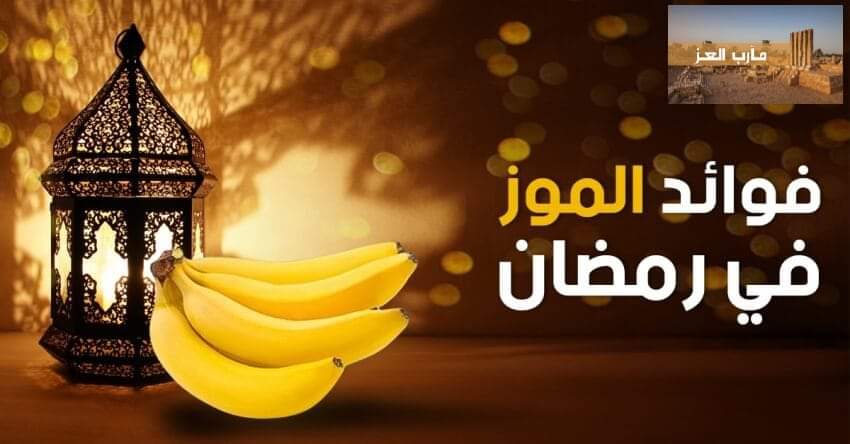 تعرف على فوائد