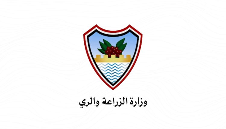 حكومة صنعاء تصدر قرار حاسم منع إستيراد هذه السلع من الخارج ولهذه الاسباب الخطيرة التي تتسبب في إستنزاف العمله الصعبه من السوق المحلية