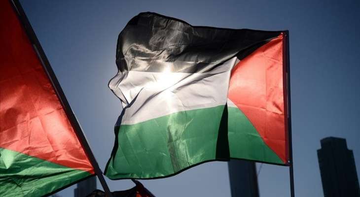 الحكومة الأيرلندية: سيتم تعيين سفير لأيرلندا لدى دولة فلسطين..