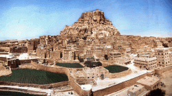 محافظة عمران تستقبل 40 من المغرر بهم ...