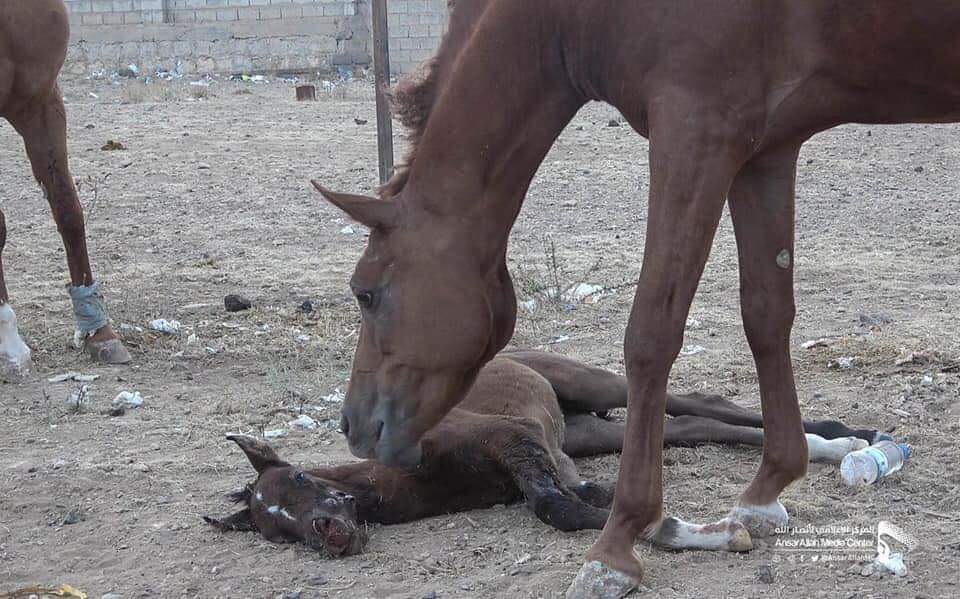 لأصحاب القلوب الكبيره ... صور حزينه لأم واب يوجودون  اطفالهم حارقه بسبب طيران العدوان السعودي اليوم بصنعاء ...