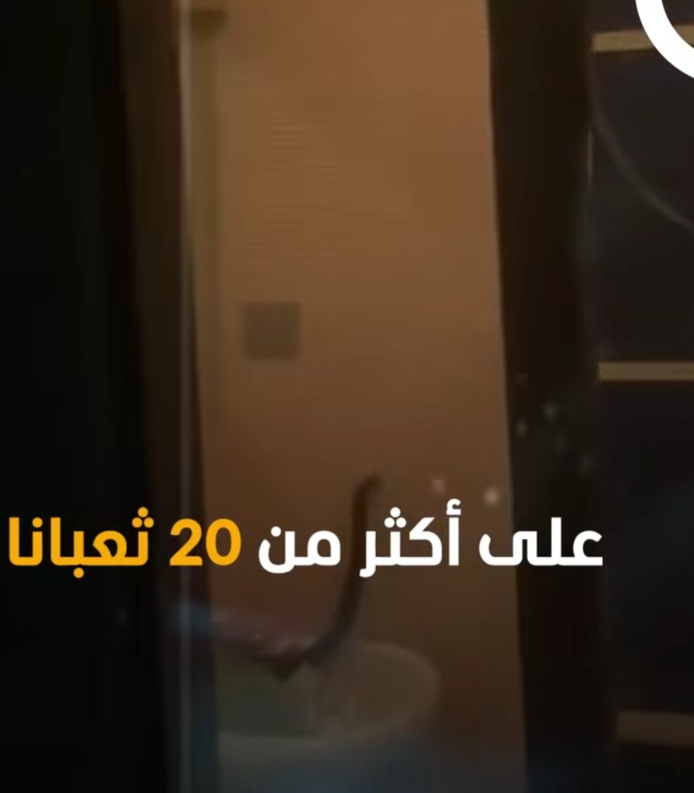 هجوم مباغت.. الثعابين تغزو مدينة إسرائيلية وتحوّل الحياة إلى 