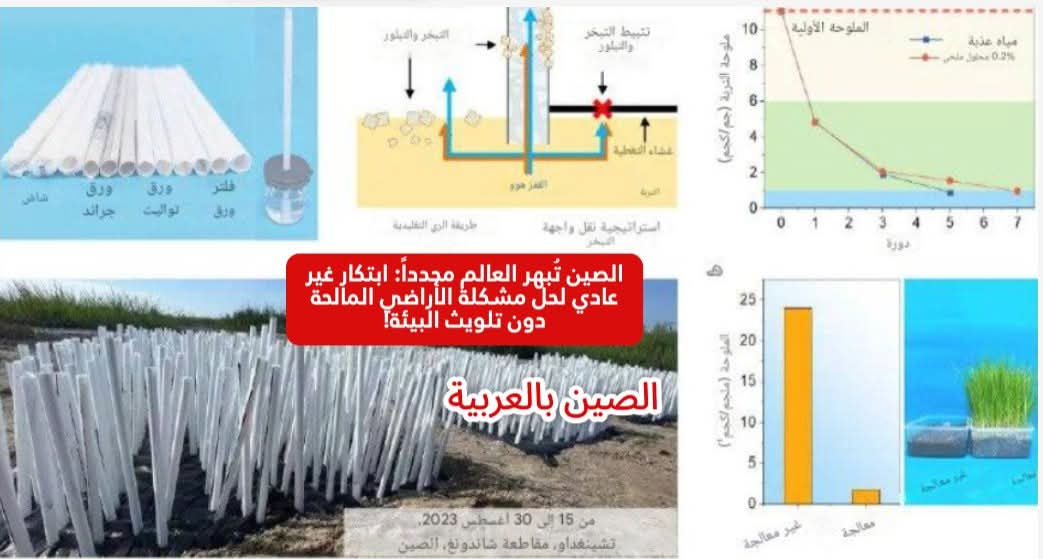 بشرى جديدة من الصين للعالم