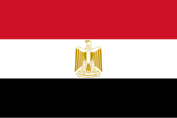 بقرار رسمي .. مصر تحظر عمل المواطنات في عدة مهن بالخارج