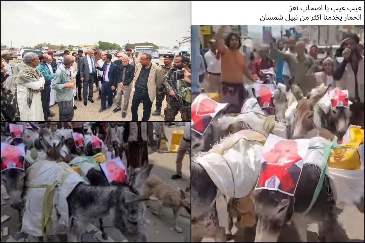عقب تنصيب الحمار محافظا لتعز .. نبيل شمسان نزل إلى شوراع المدينة ووجه بضبط محتكري مياة الشرب  .. صور