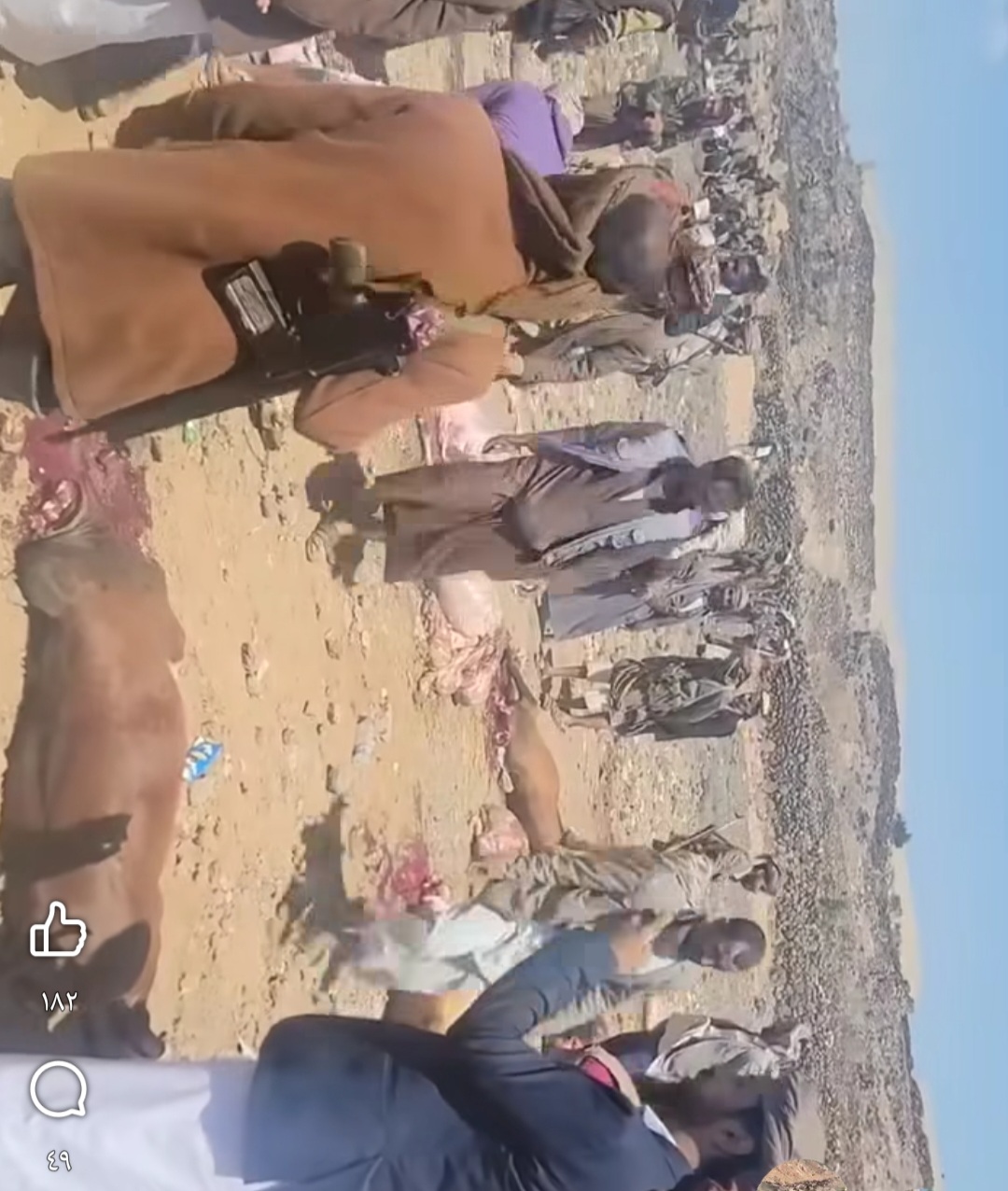 صنعاء 11 ثور و11 مليون و11 بندق تنهي خلاف قبيلتي أرحب ونهم ..