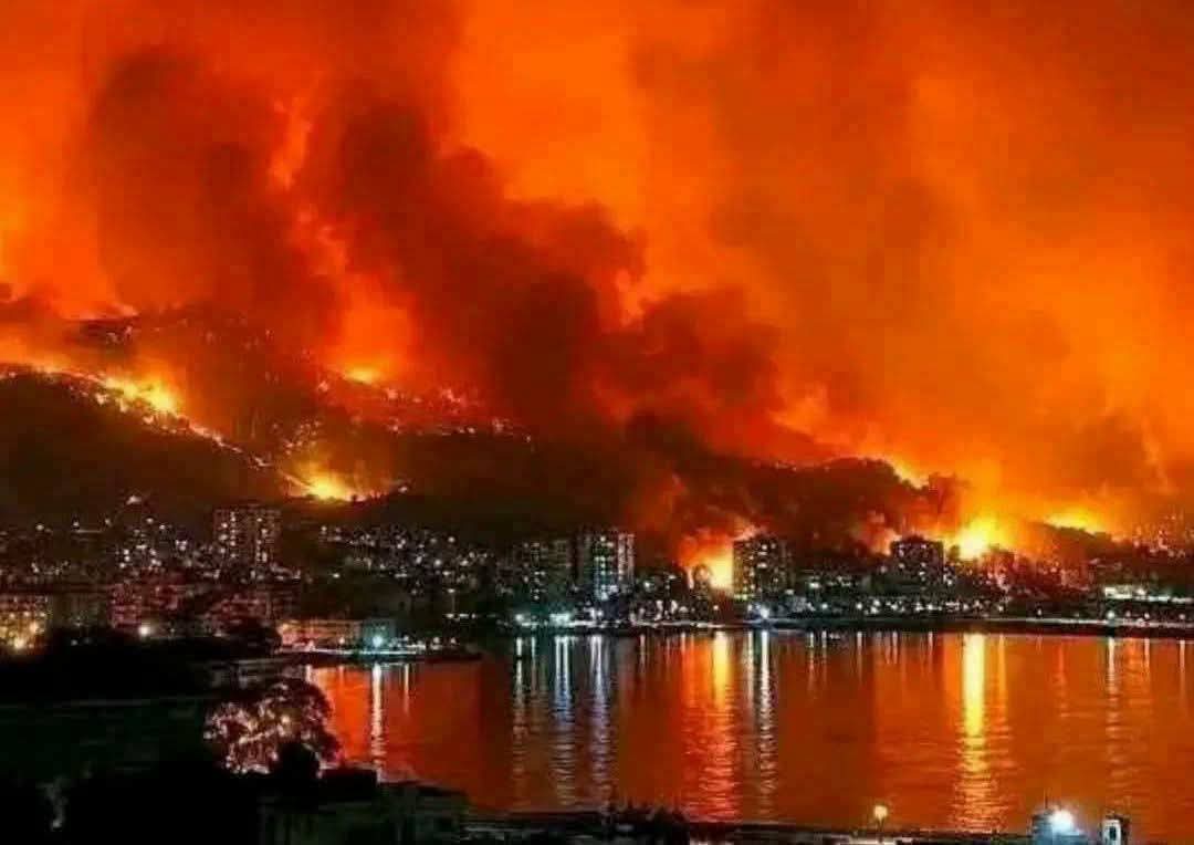 ألسنة اللهب تلتهم غابات الجزائر وتونس وتقترب من المدن .. وتضامن عربي واسع مع المتضررين