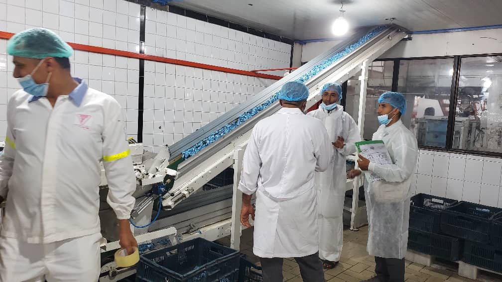 المواصفات والمقاييس تنفذ نزولا ميدانيا للتحقق من تطبيق اشتراطات المواصفات القياسية بعدد من مصانع المنتجات الغذائية