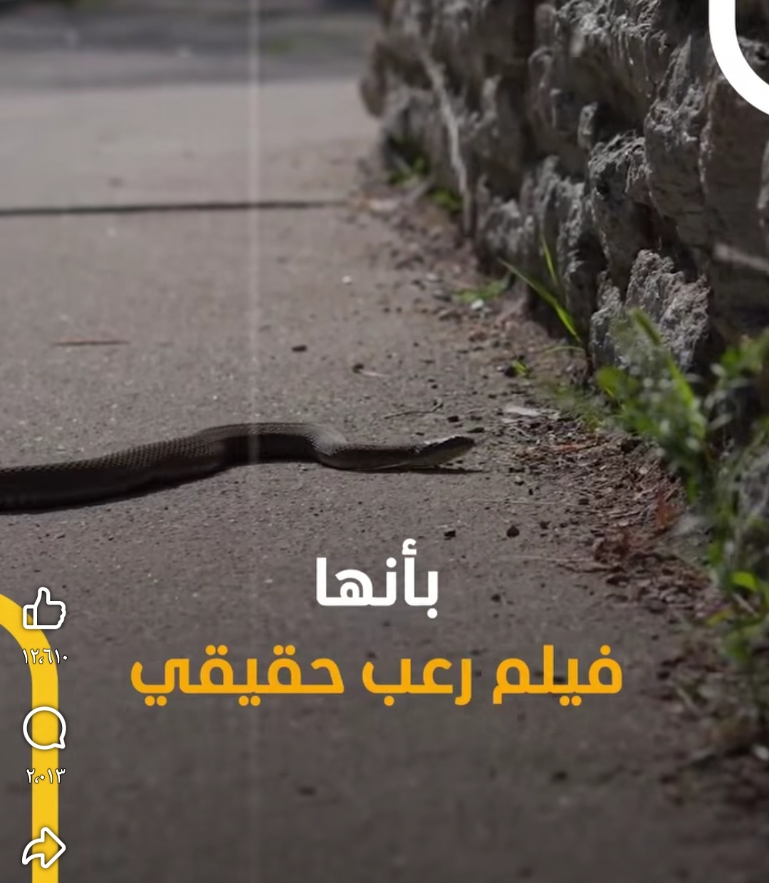 هجوم مباغت.. الثعابين تغزو مدينة إسرائيلية وتحوّل الحياة إلى 