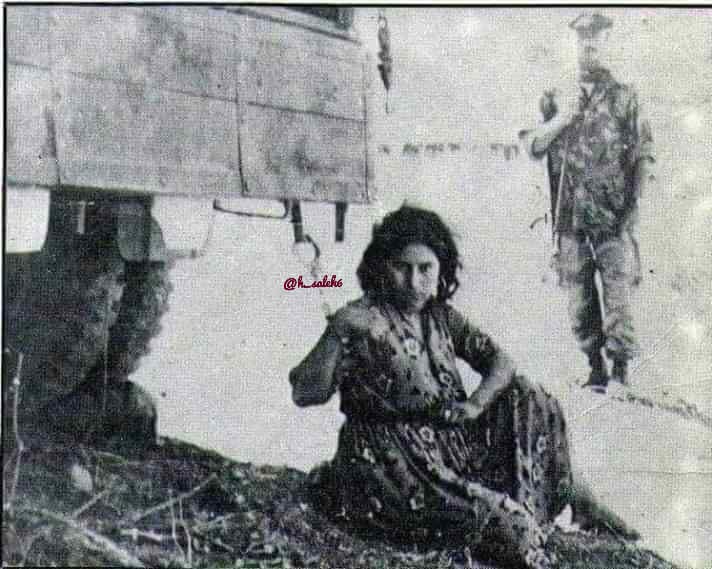 في الصورة 