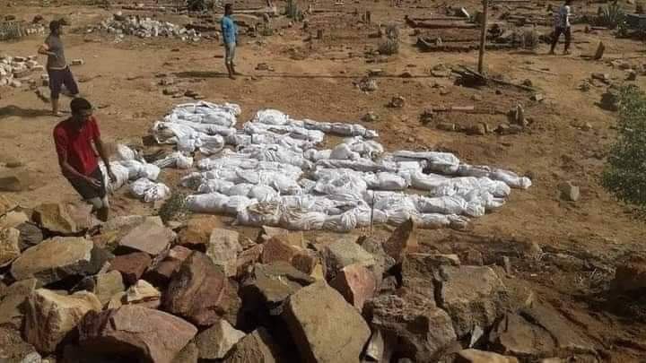 بالصور .. اكثر من 400 شخص لدغتهم العقارب التي خرجت من جحورها بمصر .. حصيله الموتى والجرحى