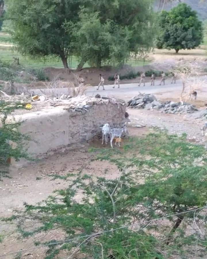 شاهد لحظة دخول قوات صنعاء  إلى  مركز مديرية بيحان بشبوة  ( صور )