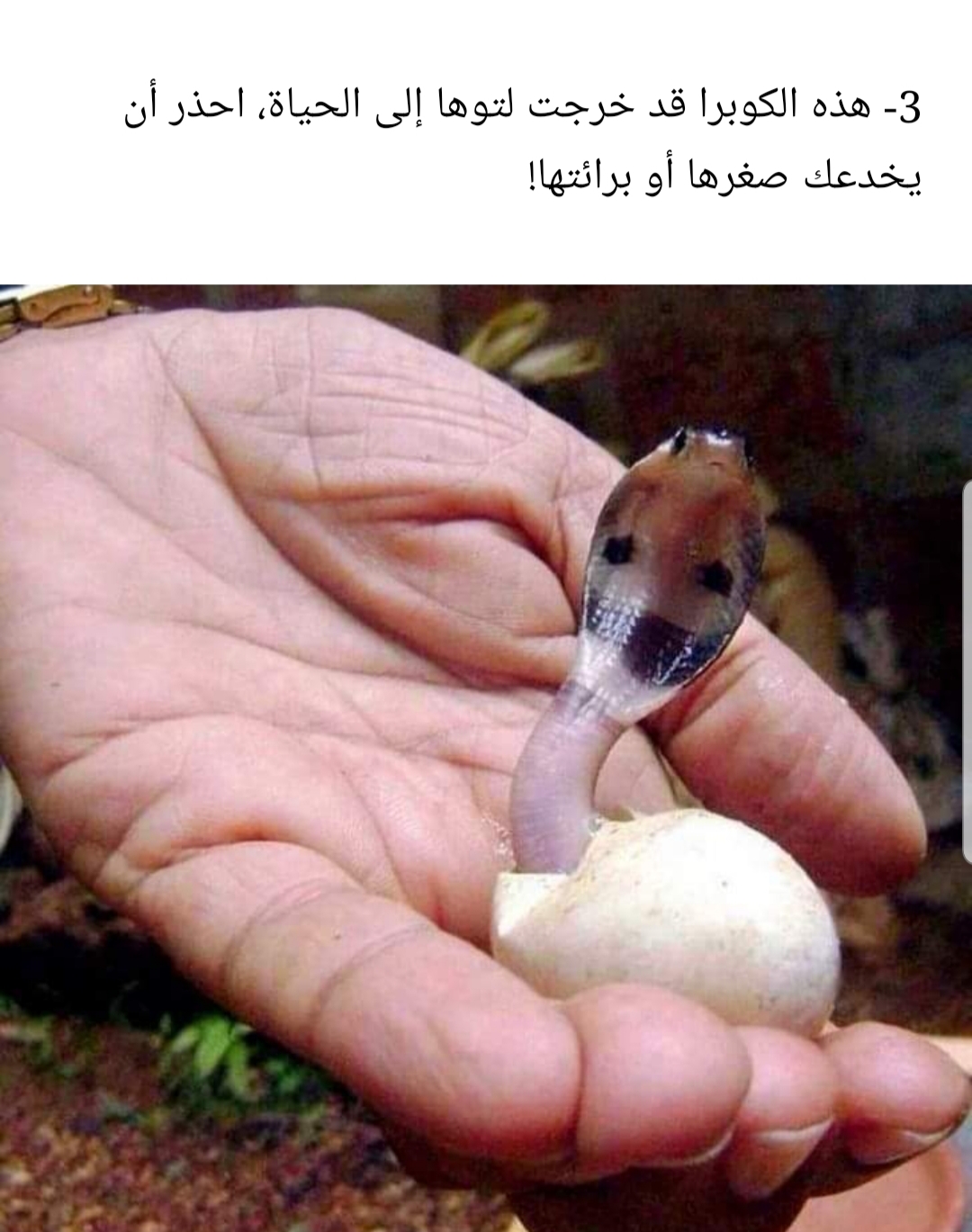 بالصور: +10 أشياء غريبة من عالمنا والتي لم نتوقع أن نراها في يوم من الأيام